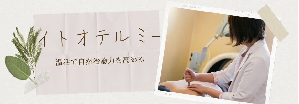 イトオテルミー